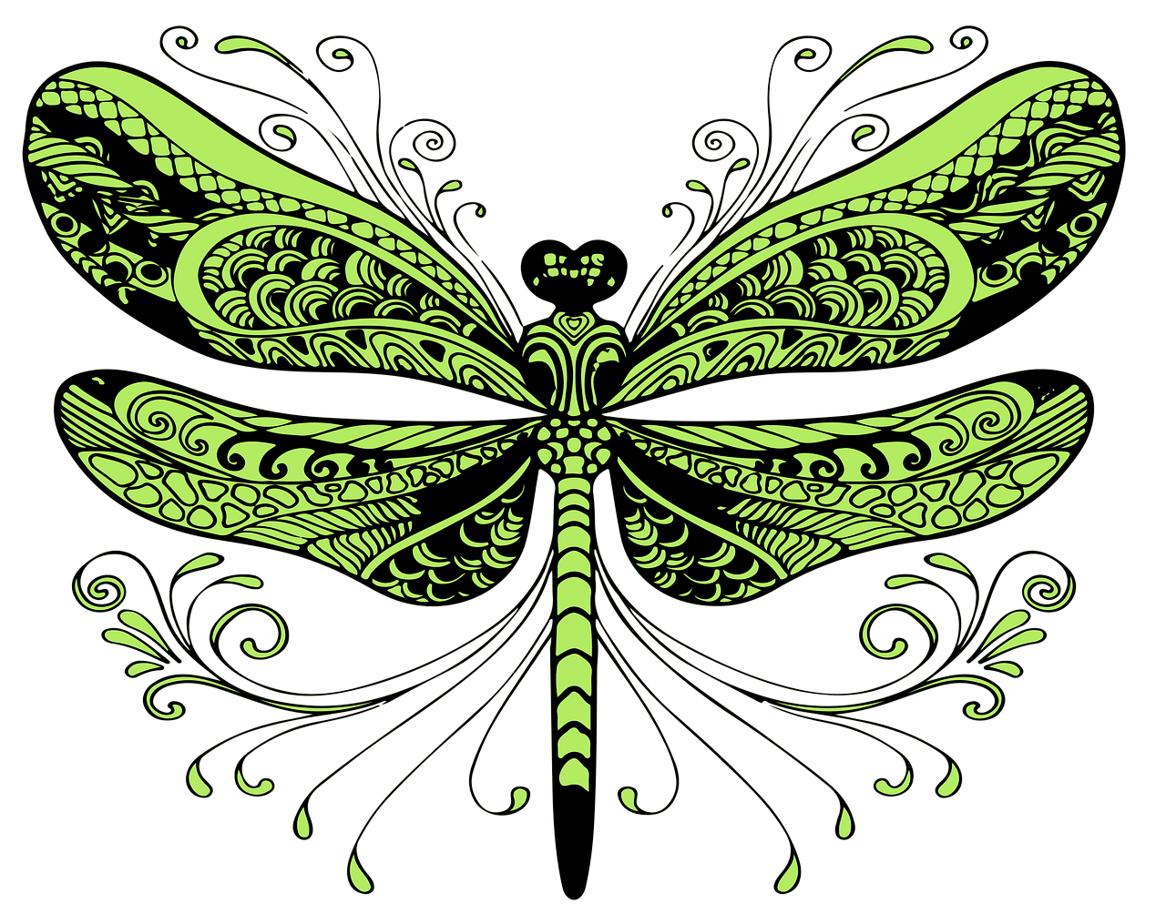 dragonfly