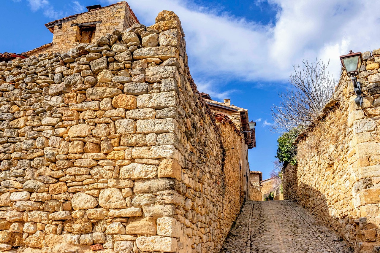 el heraldo de aragon