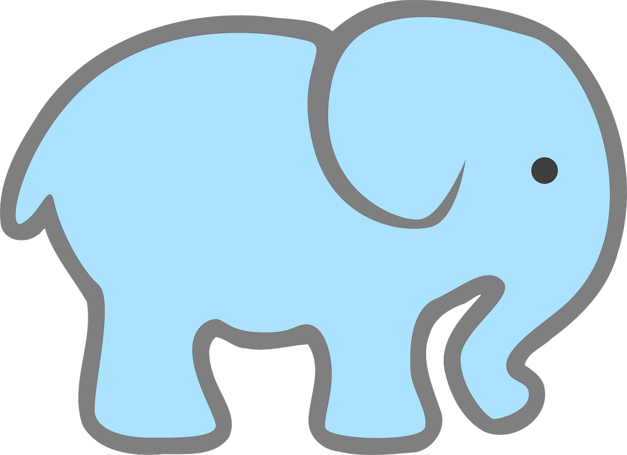 elephant