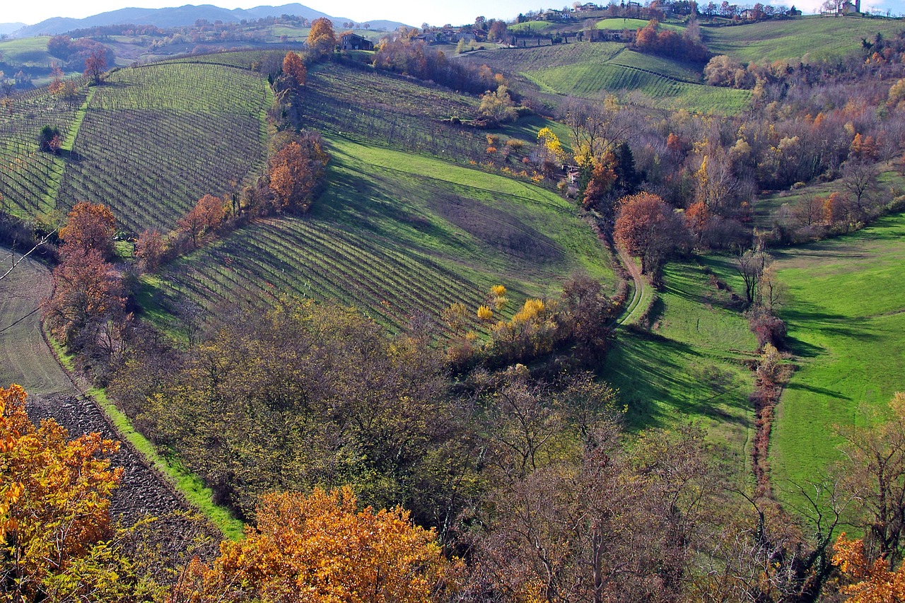 emilia landaluce