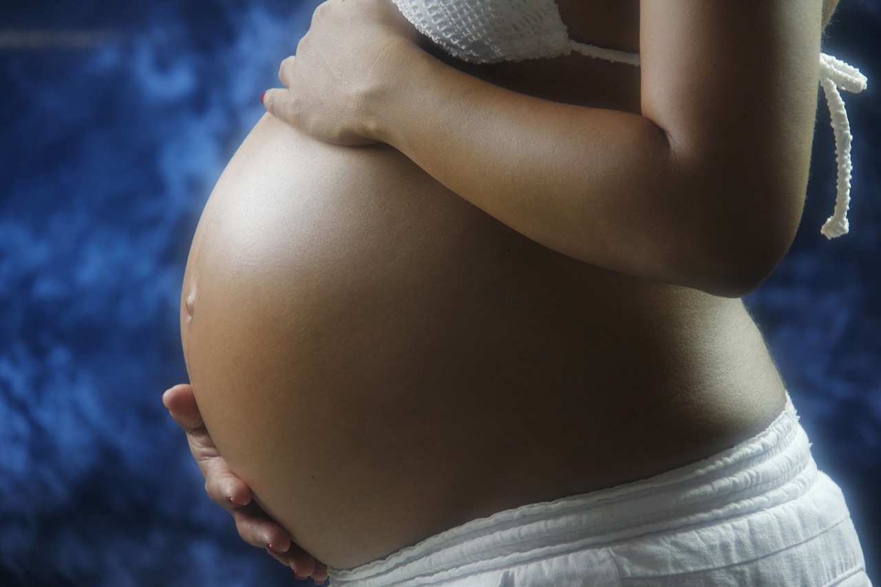 etapa prenatal