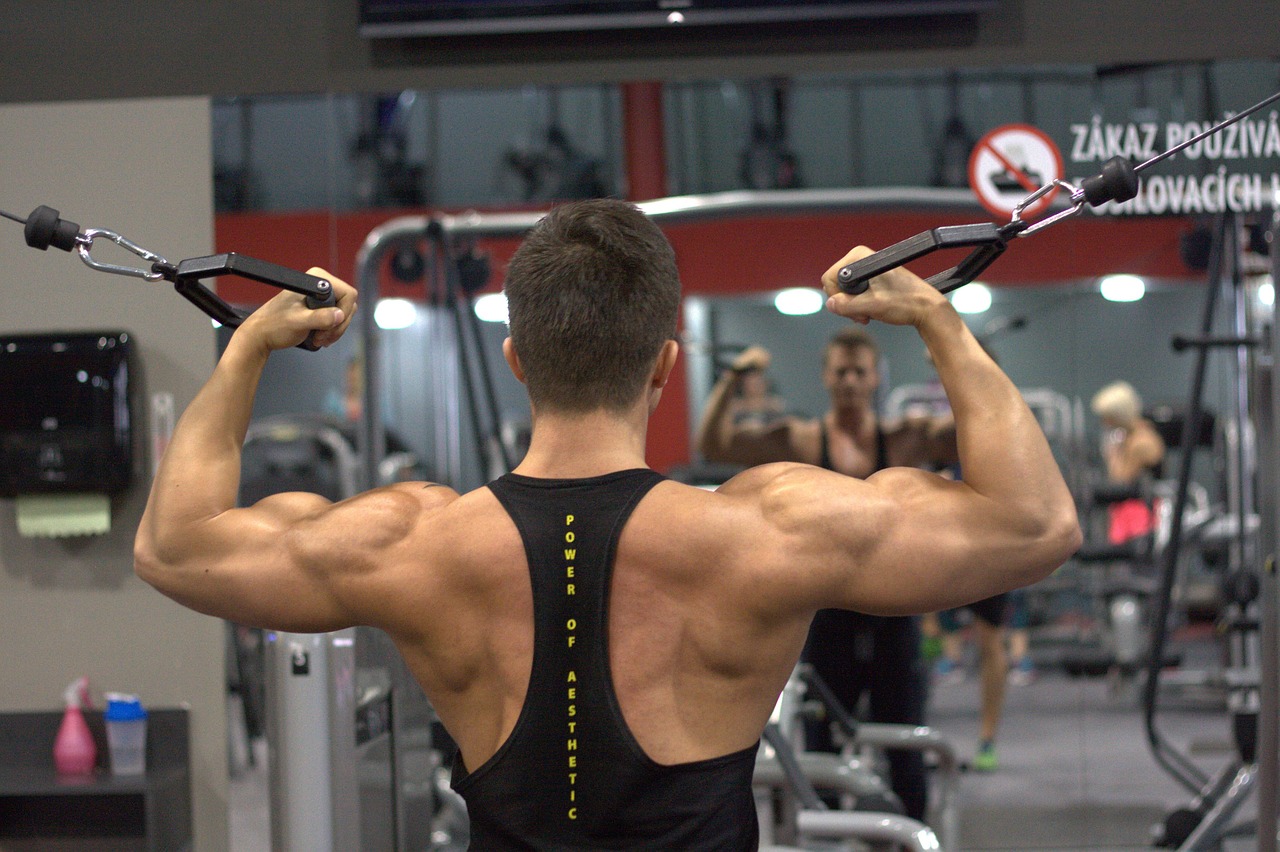 extensiones gym
