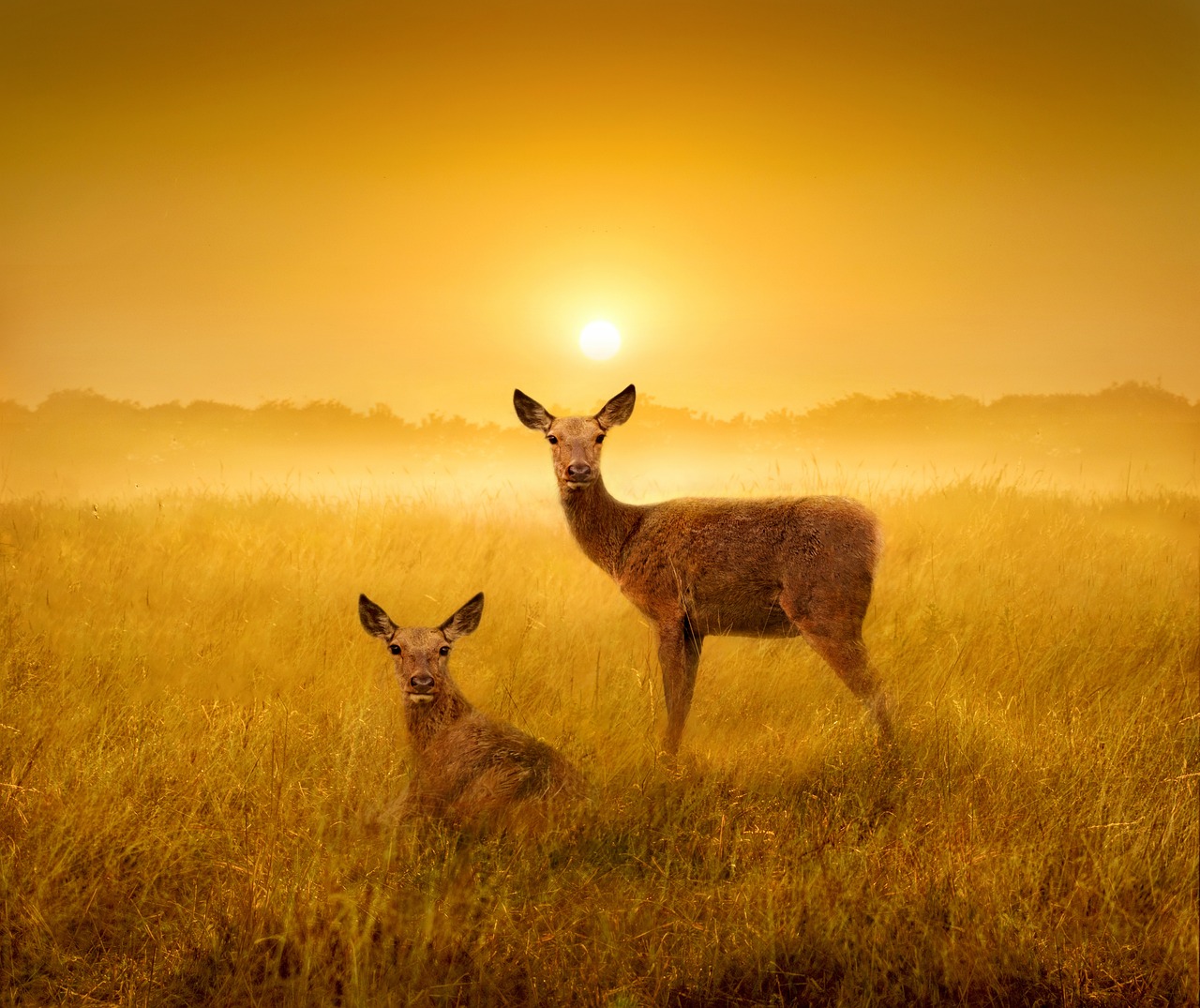 golden hour