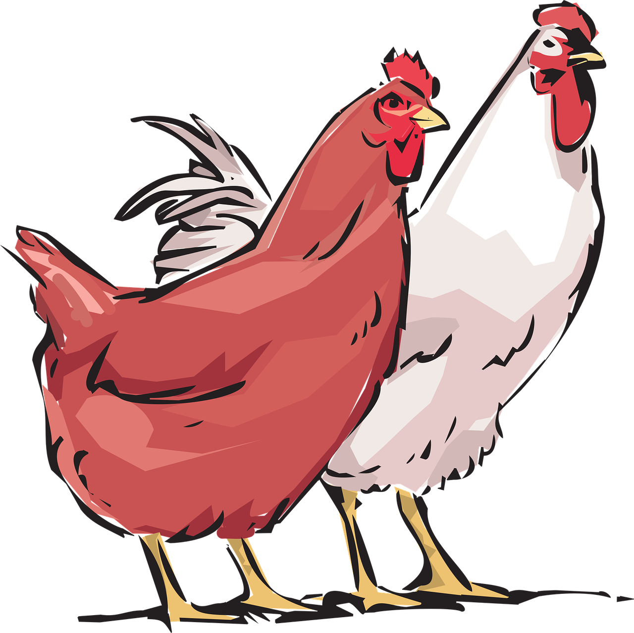 granja