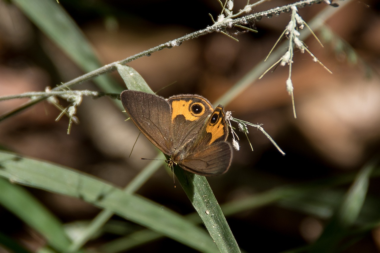 Hdfull original: 10 consejos para mejorar tu estrategia de SEO 1. Mejora tu SEO con estos 10 consejos prácticos 3 hdfull original