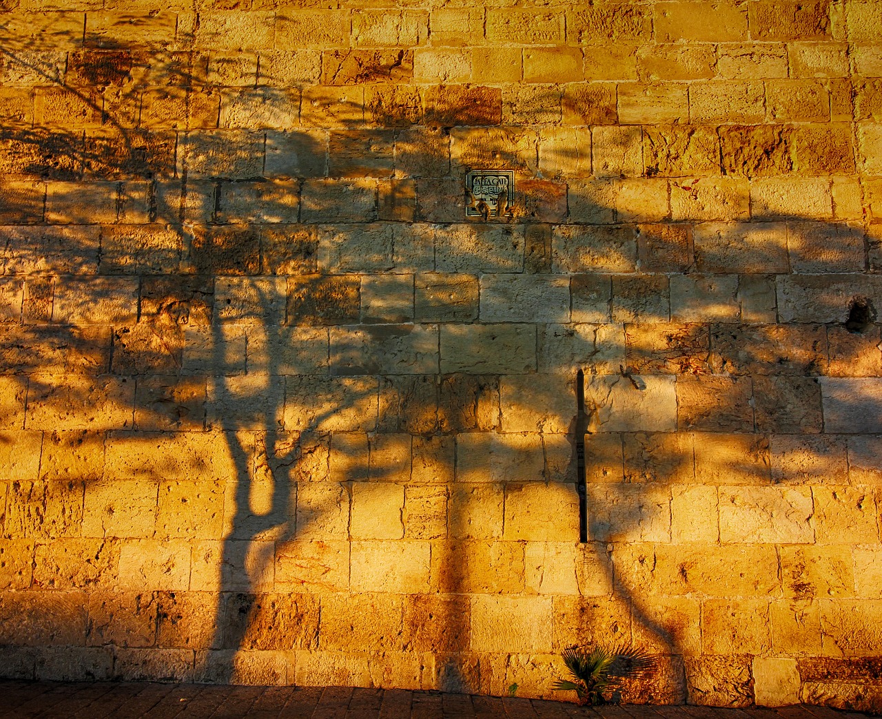 israel palestina