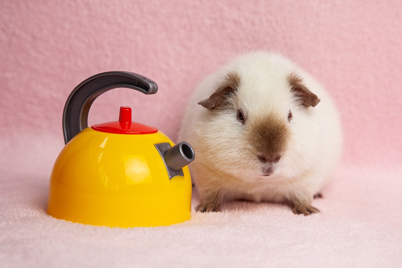 Kettle: 5 beneficios sorprendentes de usar kettles eléctricas 4 kettle