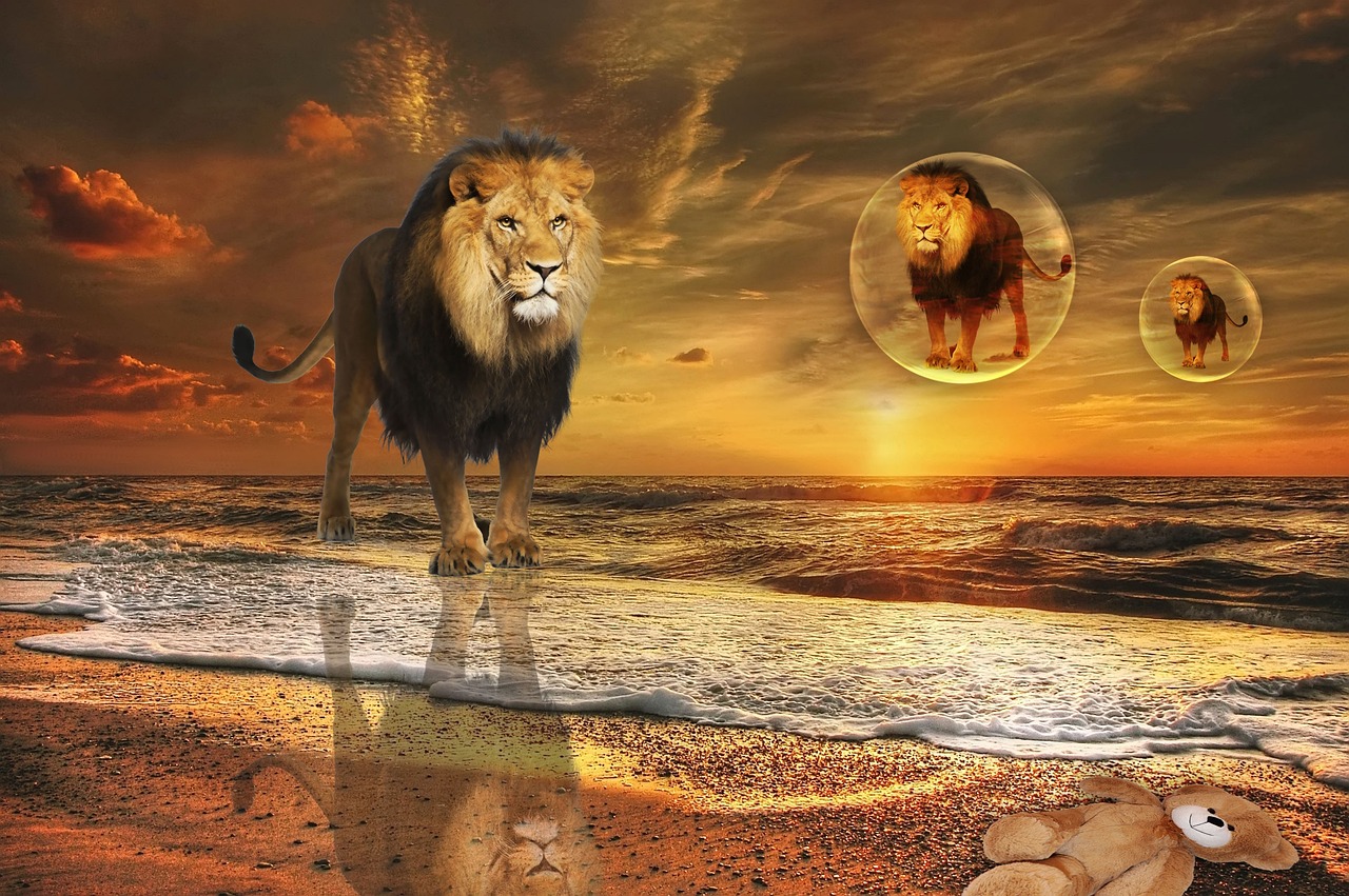 Leon dibujo: 5 técnicas para perfeccionar tu arte de leones 4 leon dibujo