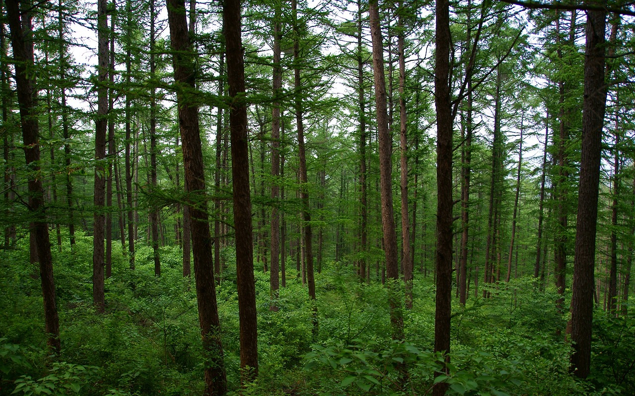 Navegando en éxito: 7 secretos para tu estrategia digital 4 letra n