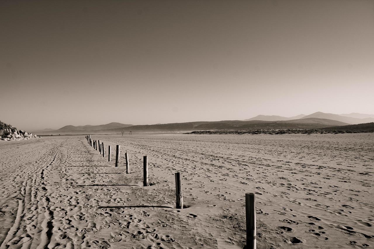 Liga sueca: 5 equipos que dominan la temporada 2023 5 liga sueca