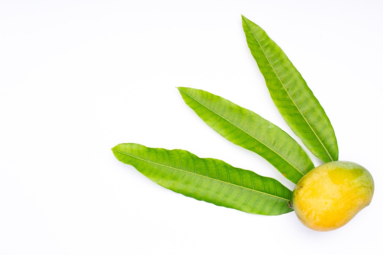 mango man