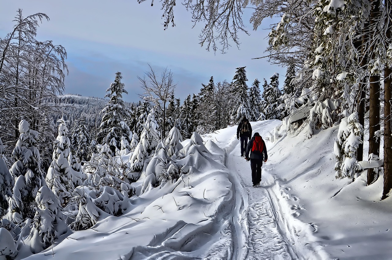 marcha nordica