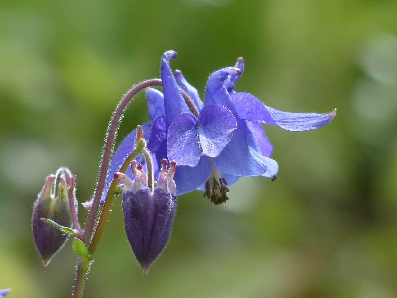 masacre de columbine