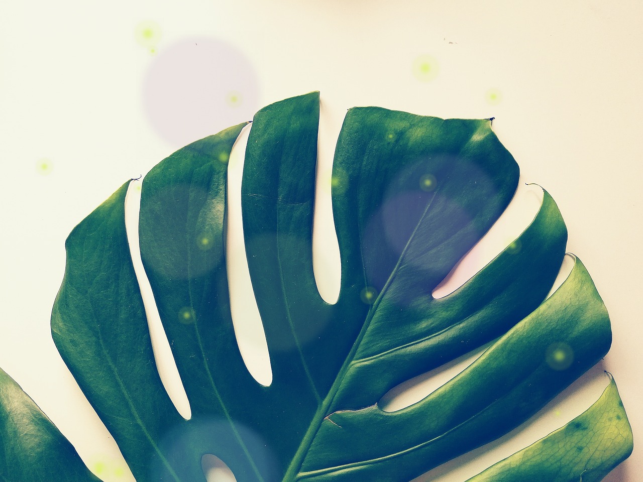 Monistrol de Montserrat: 5 lugares imprescindibles para visitar 4 monistrol de montserrat