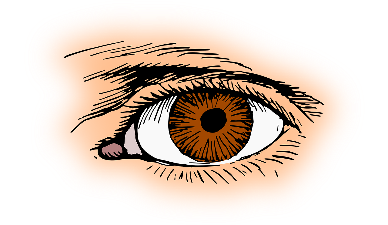 Nervio óptico: 5 claves para mantener su salud y función 3 nervio optico