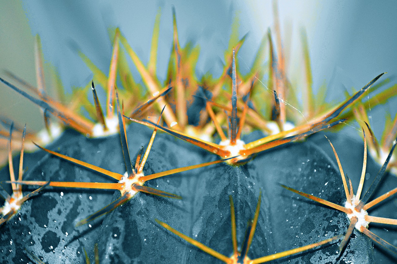 Peonza: 7 trucos para dominar su uso y mantenerla girando 1 peonza