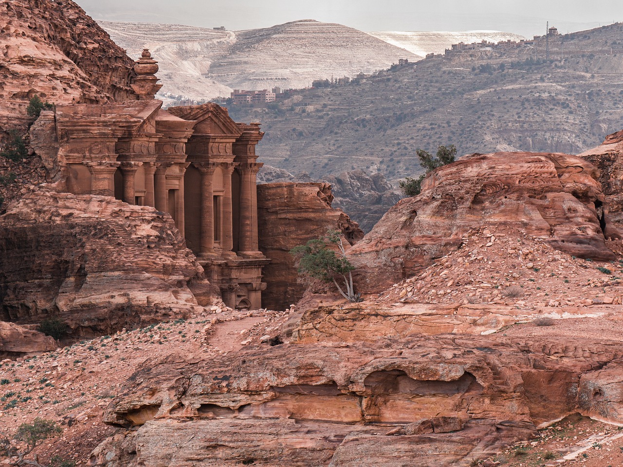Petra pelicula: 5 razones para ver esta fascinante historia 2 petra pelicula