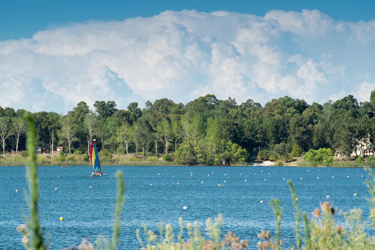 Quintanar del Rey: 5 lugares imperdibles para visitar este año 4 quintanar del rey