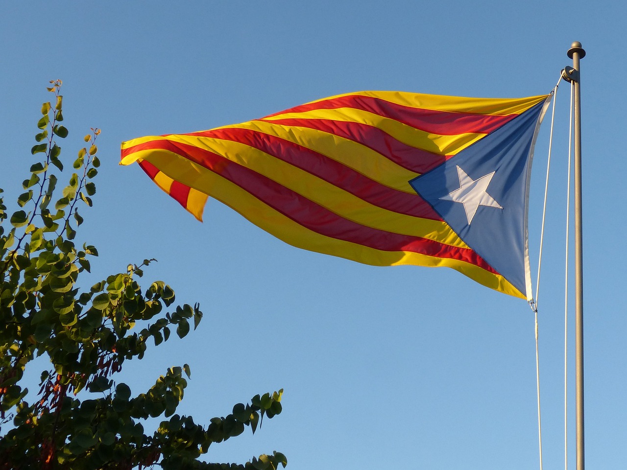 senyera