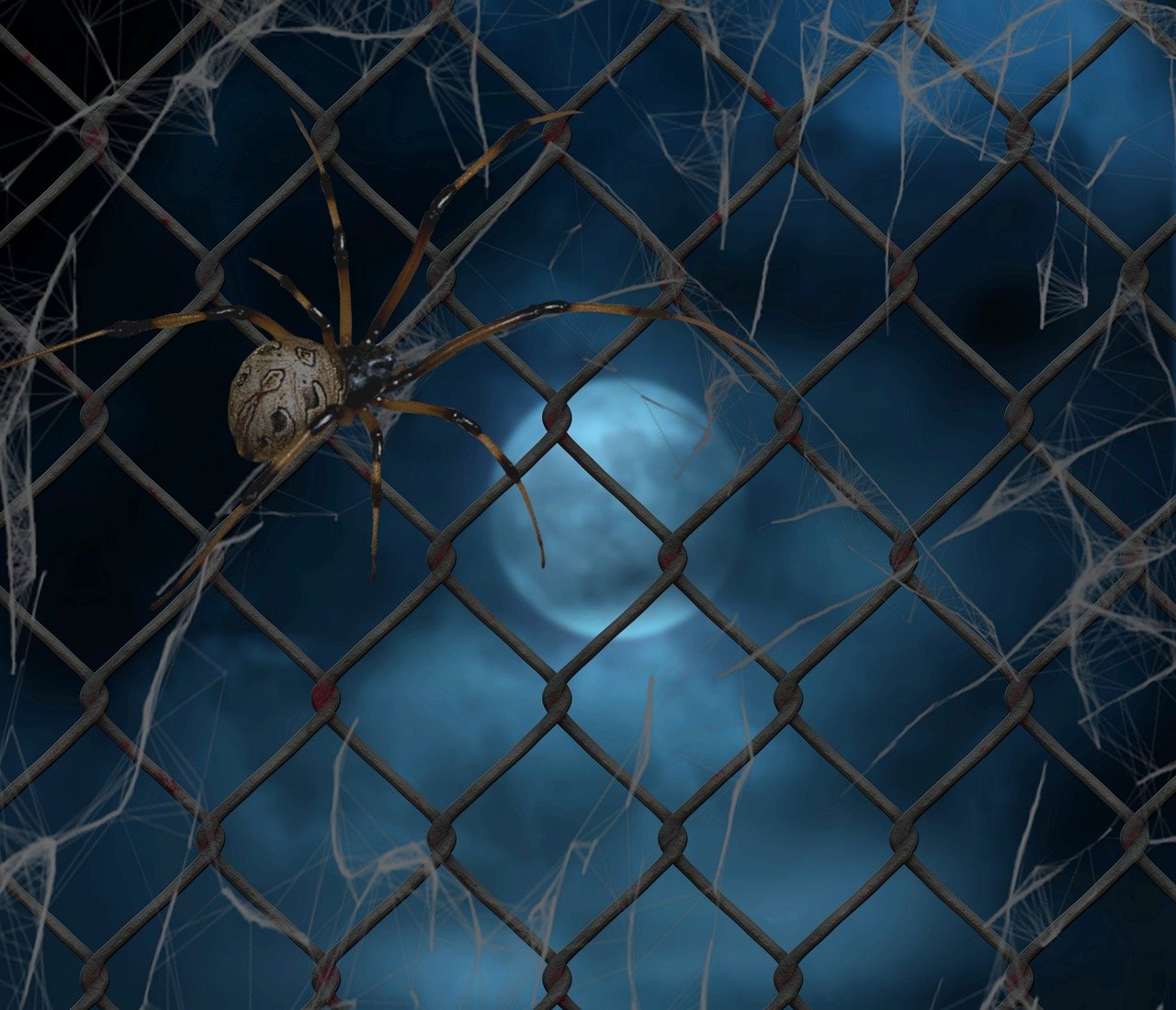 solitario spider 4 palos