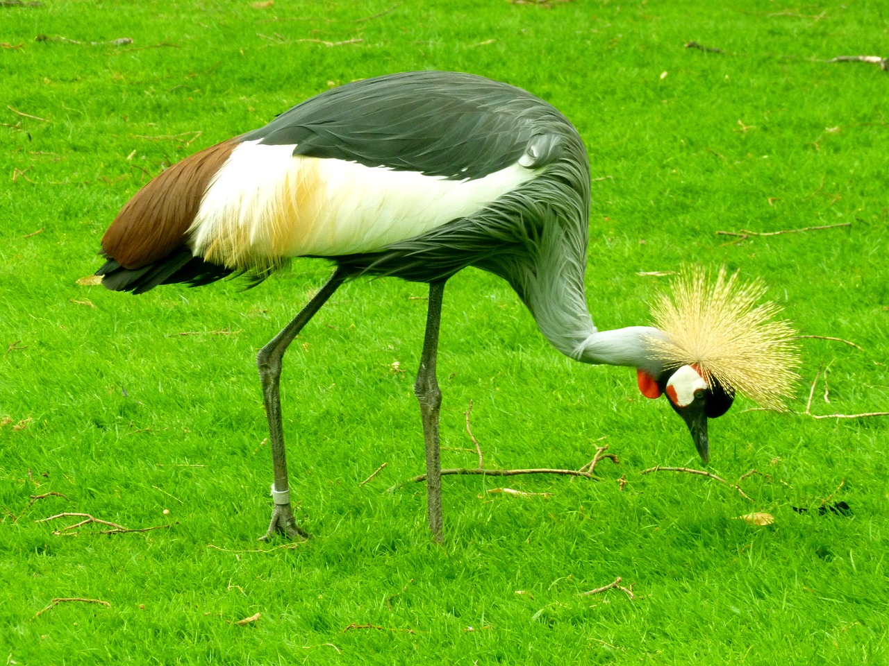 Sudáfrica: 7 maravillas naturales que debes explorar 5 sudafrica