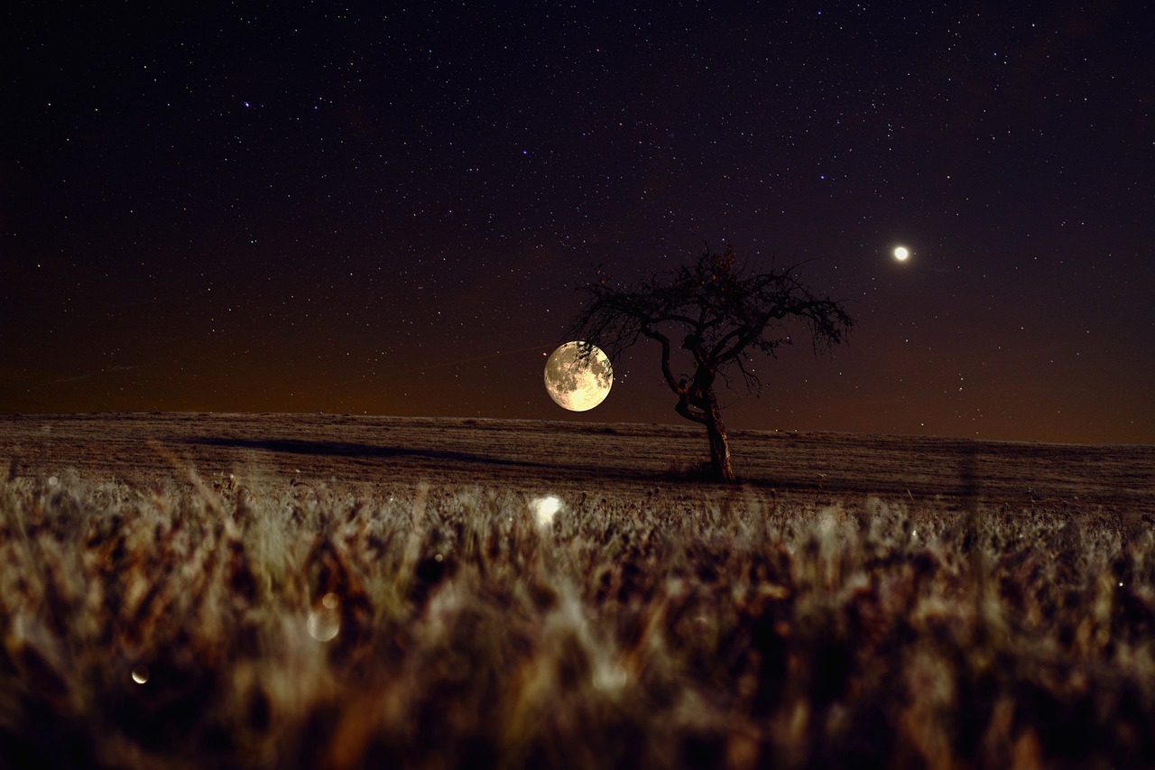the night of