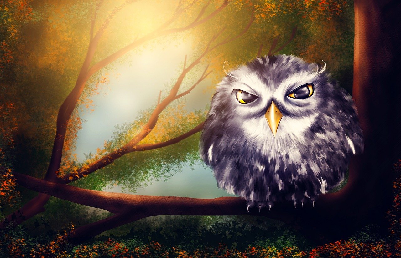 La the owl house: 5 personajes que transforman la historia 4 the owl house