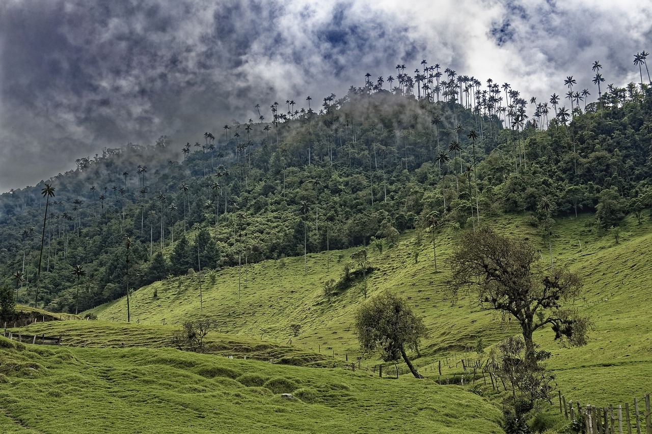valle de elda