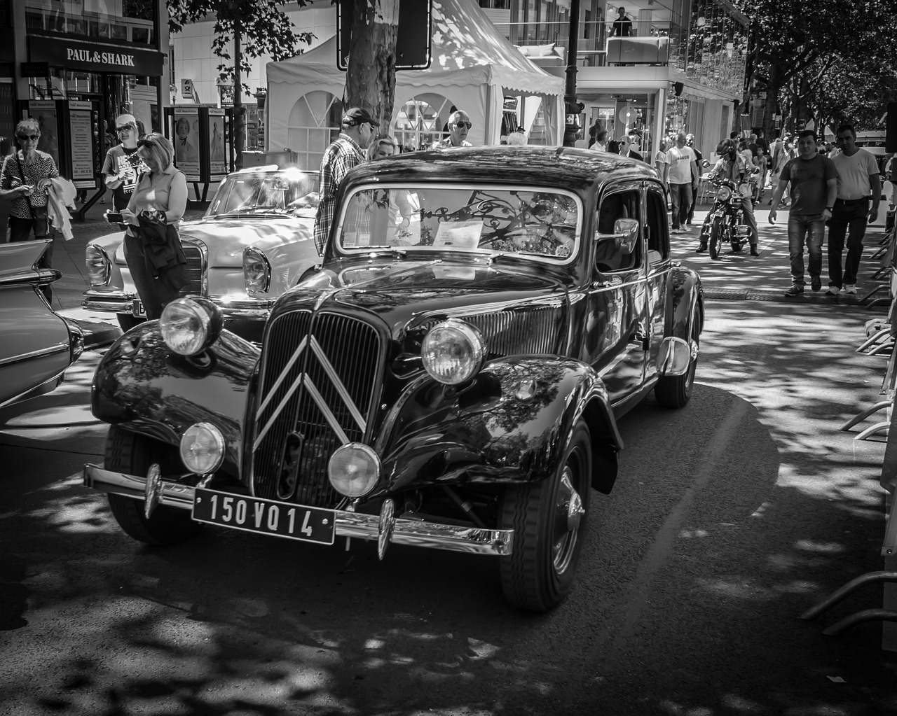 vanguardismo