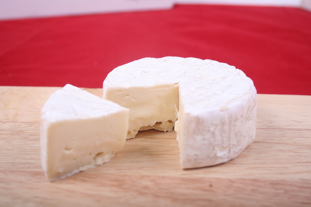 alimentos procesados