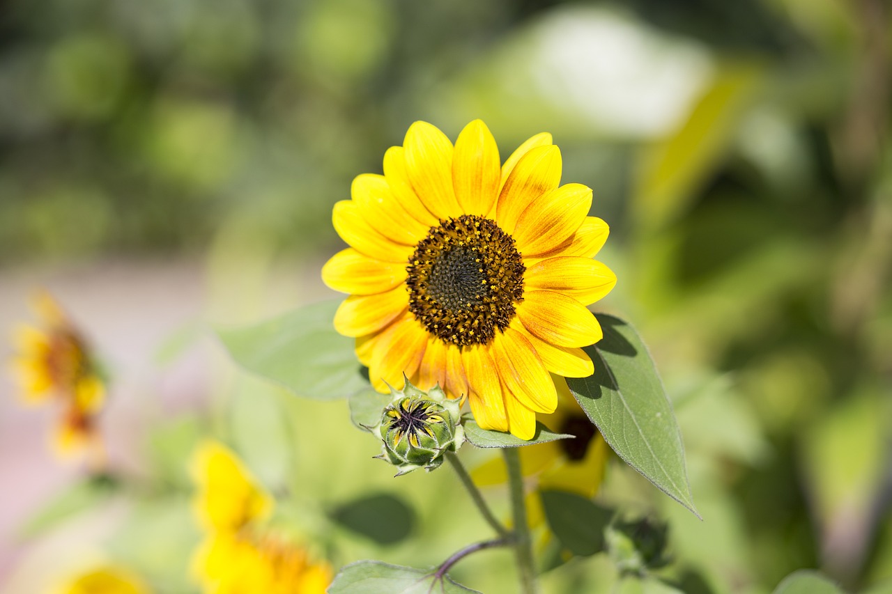 aluminio y magnesio