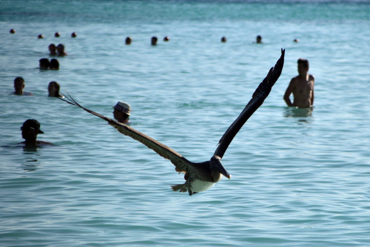 Anahuac Cancun: 5 razones para estudiar en esta universidad 5 anahuac cancun