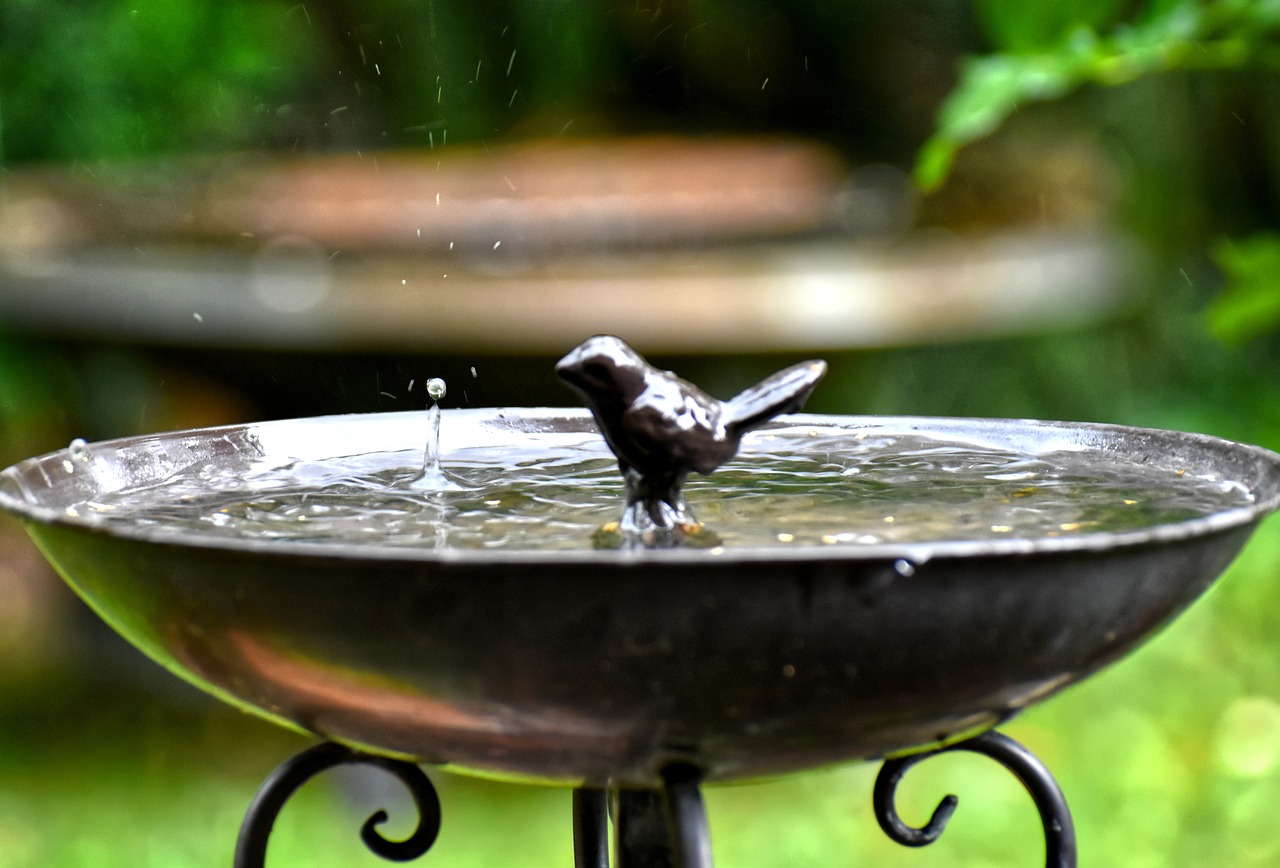 Bath and body works: 5 productos esenciales que debes probar 3 bath and body works