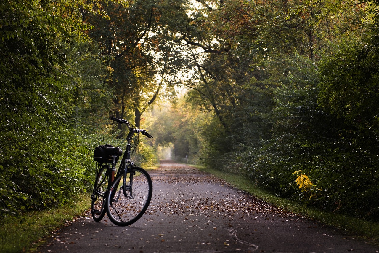 bicicleta rodada 20
