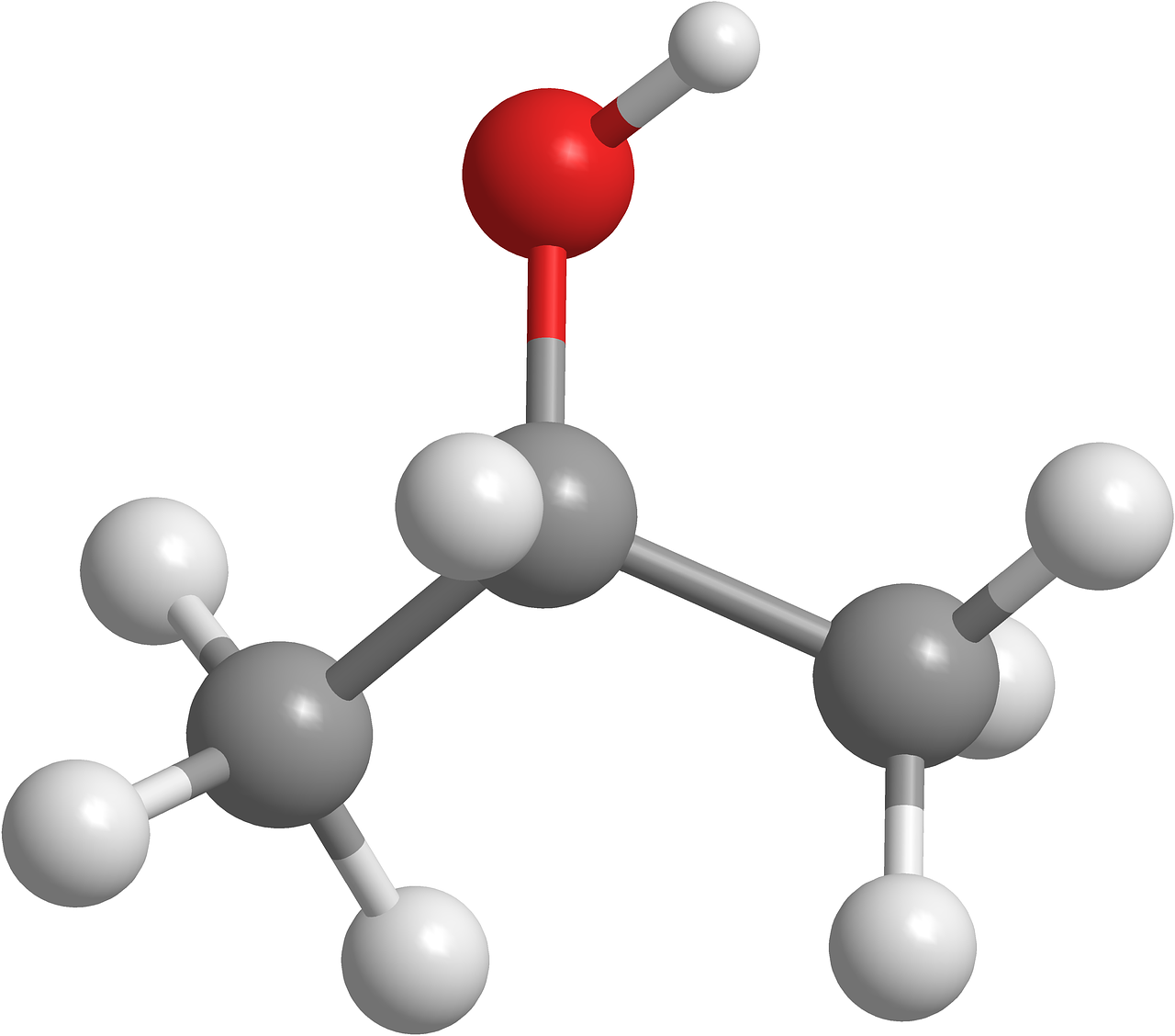 biomoleculas organicas