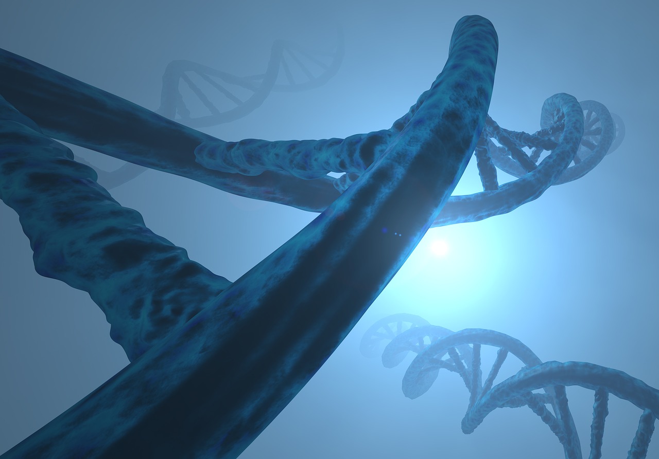 Biomoléculas: 5 claves para entender su función en la vida 1 biomoléculas