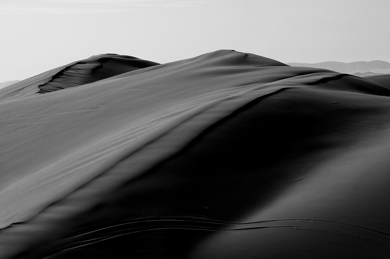 Black and white: 5 claves para dominar el arte del contraste 1 black and white