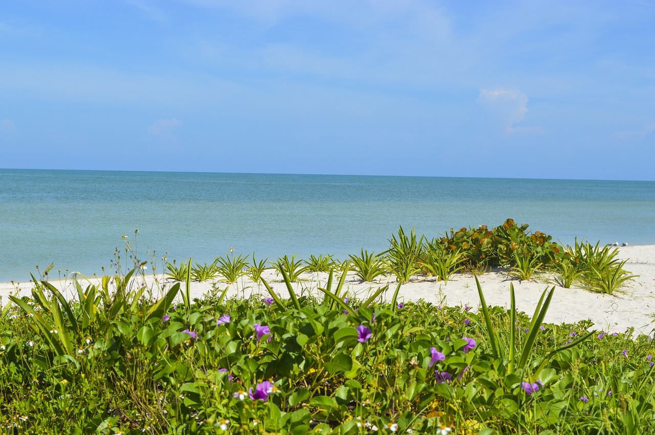Celestun: 5 razones para visitar esta maravilla natural 4 celestun