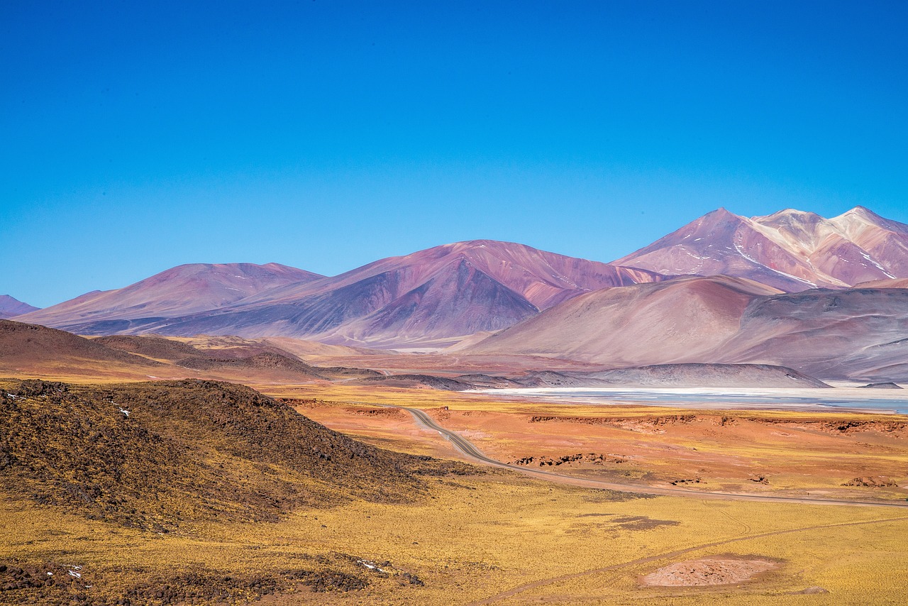 Chile verdura: 5 beneficios que no conocías de su consumo 1 chile verdura