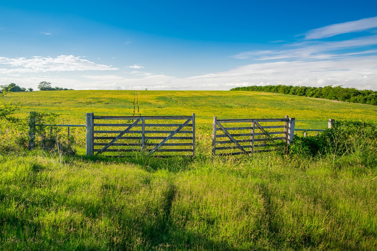 Colombia vs Uruguay: 5 claves para el partido del siglo 4 colombia vs uruguay