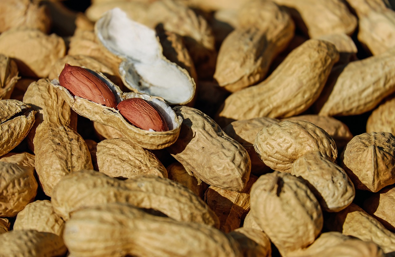 Comida saludable y chatarra: 5 claves para una dieta equilibrada 3 comida saludable y chatarra