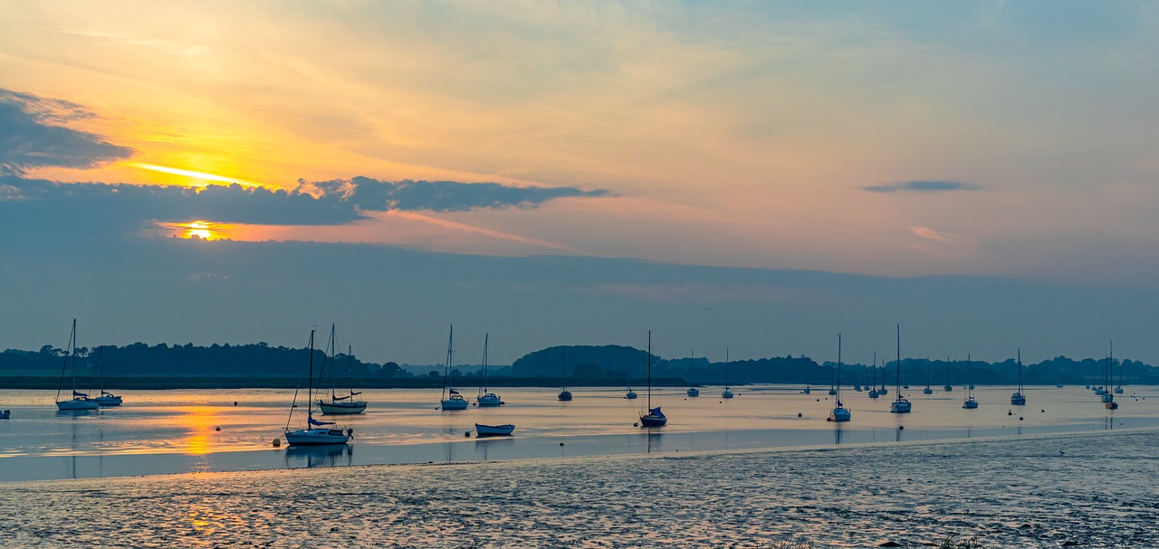 Debe: 5 claves para optimizar tu trabajo remoto eficientemente 2 debe