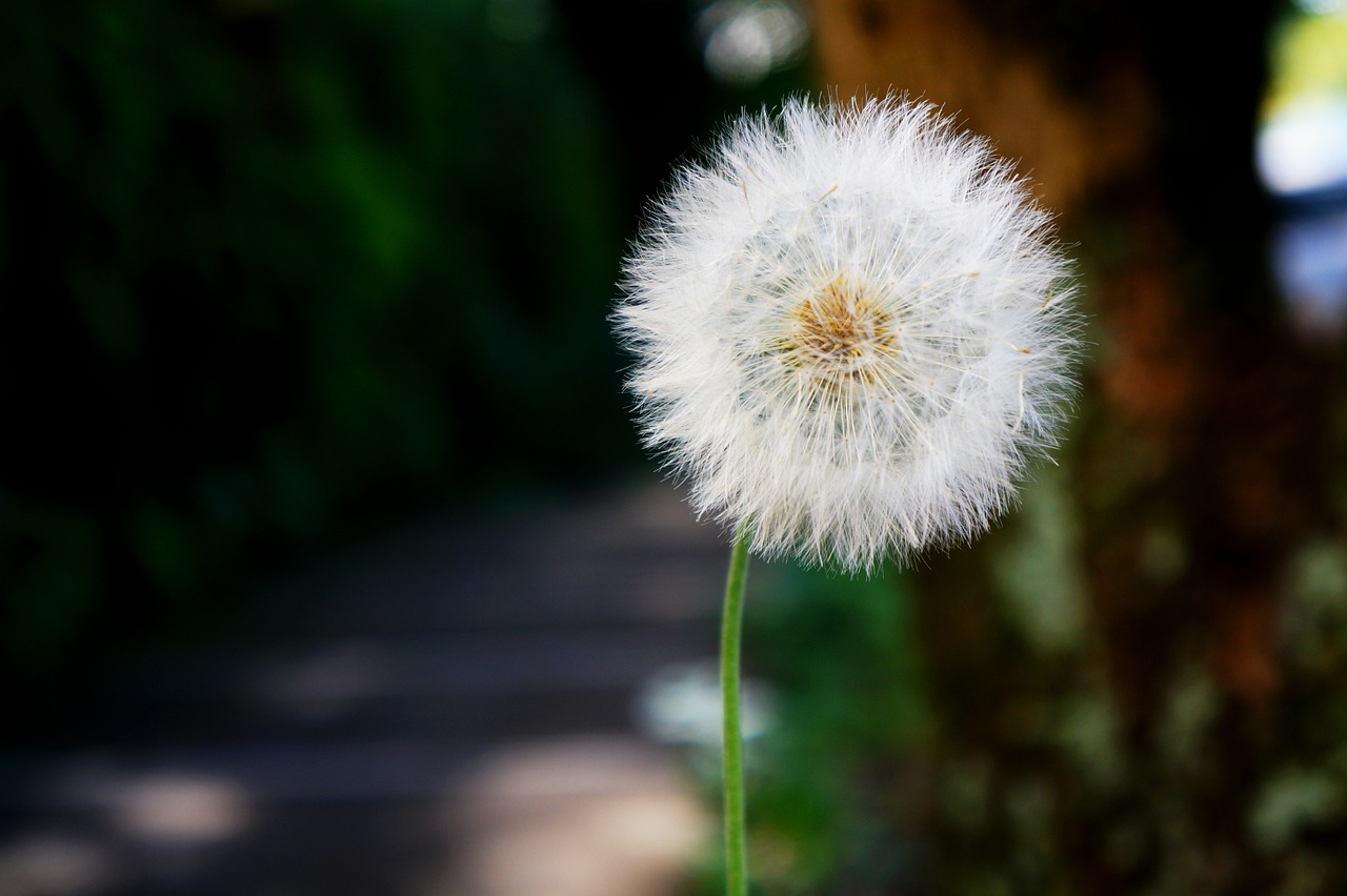 El tiempo en Nuevo Laredo: 5 predicciones para esta semana 1 el tiempo en nuevo laredo