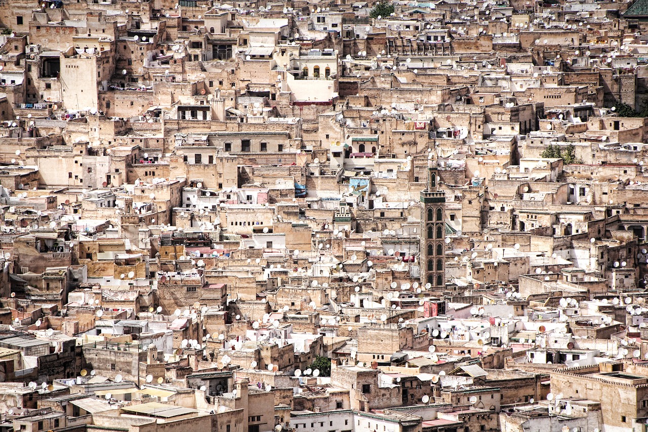 fes acatlan