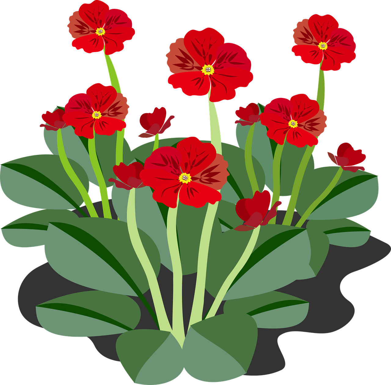 flor de cerezo