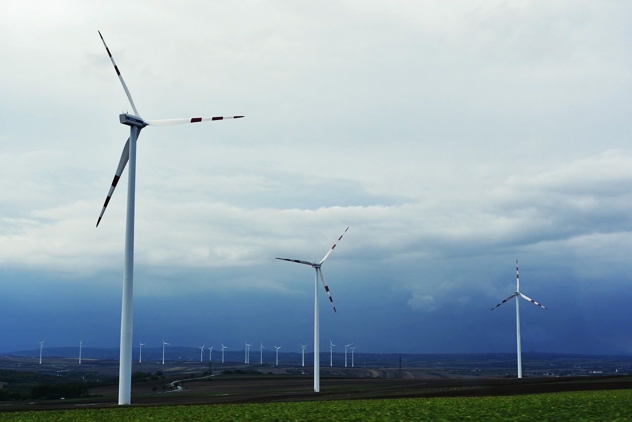 Gana energia: 7 hábitos para optimizar tu productividad diaria 4 gana energia