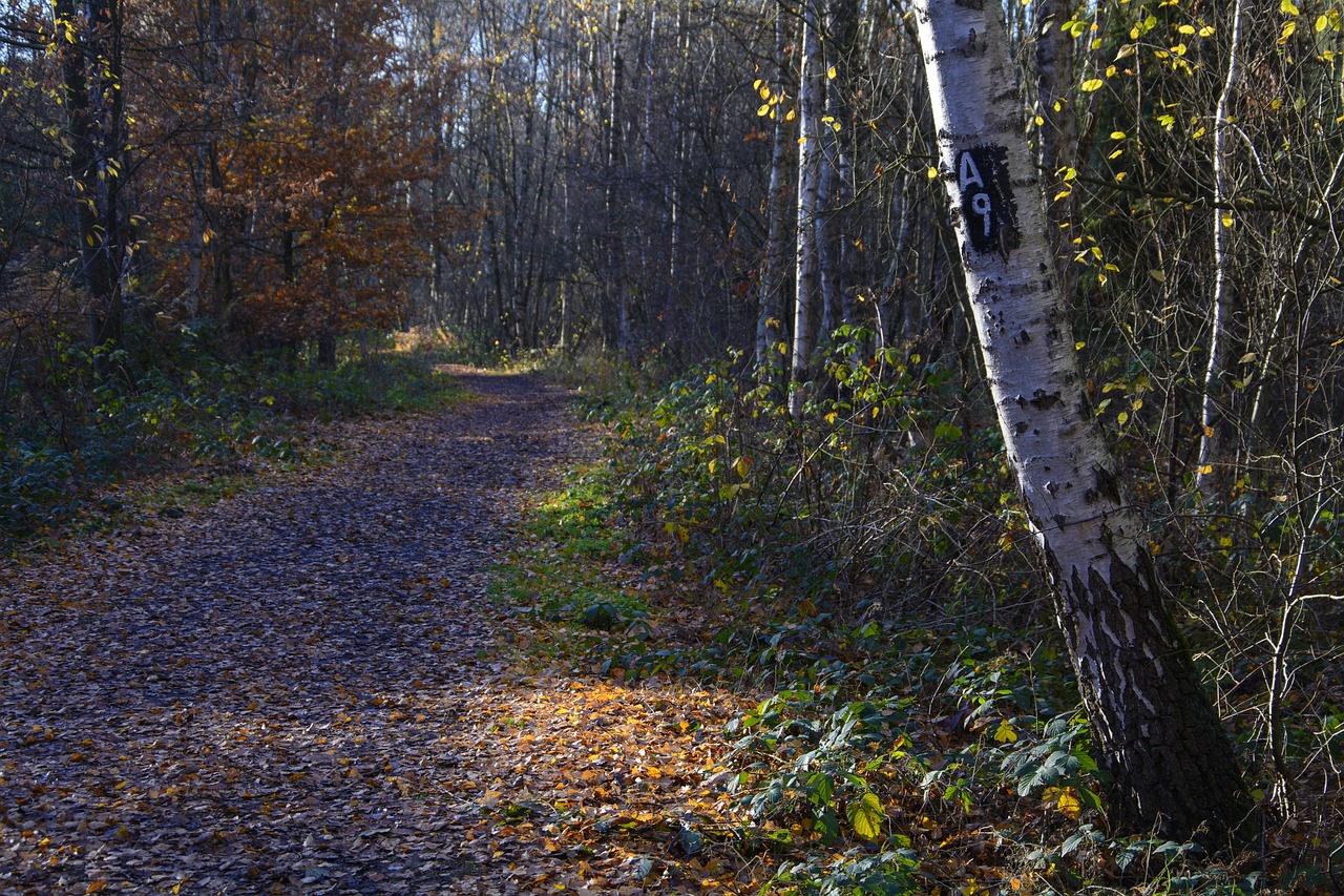 Gardasil 9 precio: 5 datos que debes conocer antes de comprar 4 gardasil 9 precio