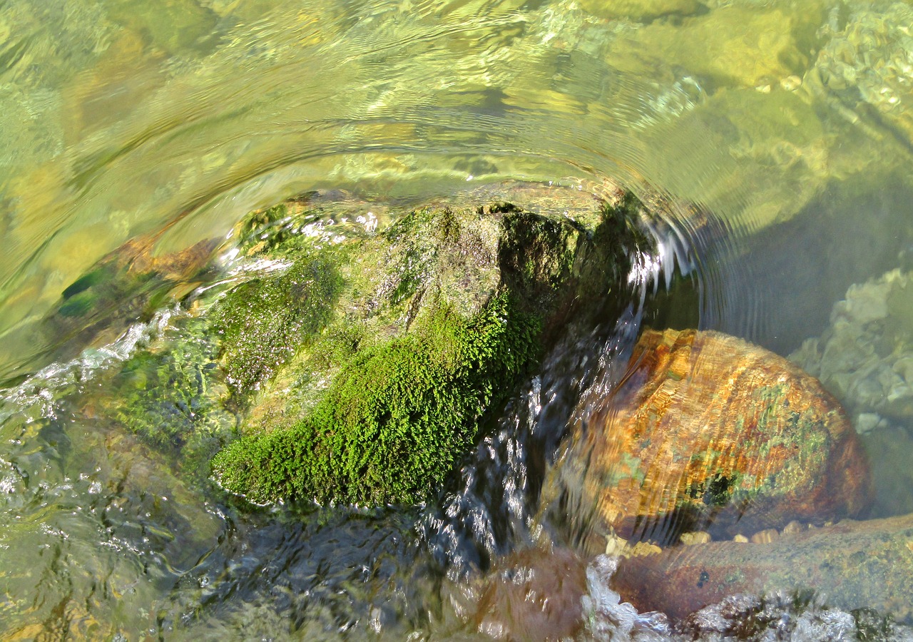 garrote vil