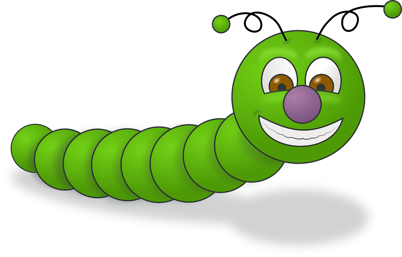 gusanos