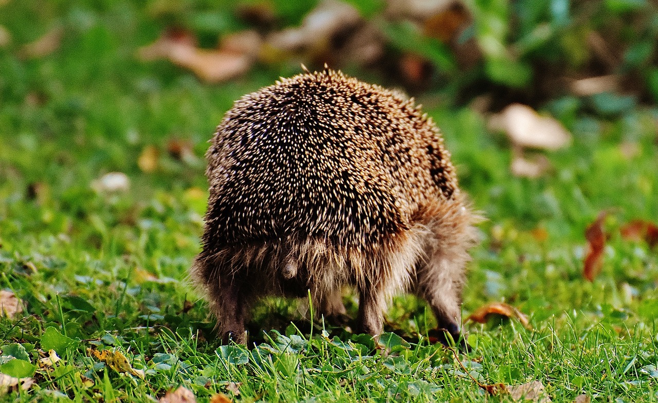 Hannah arendt: 5 lecciones sobre la naturaleza del poder 4 hannah arendt